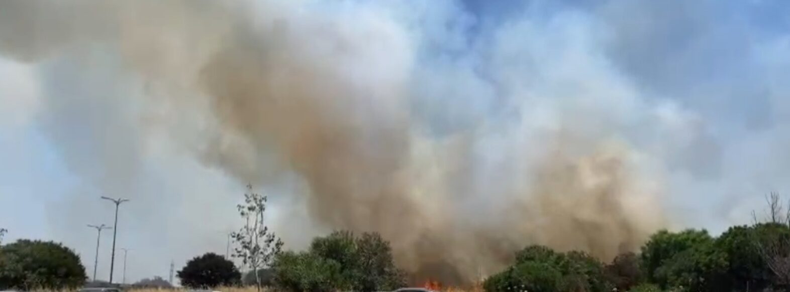 שריפת קוצים פרצה באיזור המוסכים במפרץ חיפה
