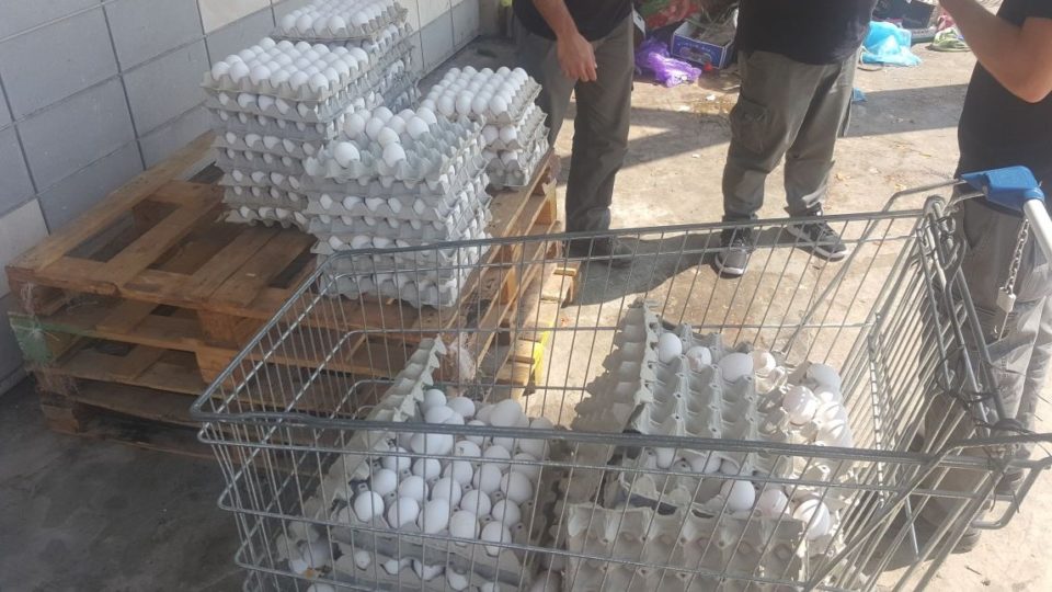 נמנעה הפצת אלפי ביצים ללא פיקוח וטרינרי שנתפסו בשוק העירוני בקרית אתא